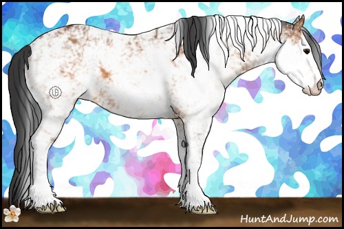 Horse Color:Brown Sabino