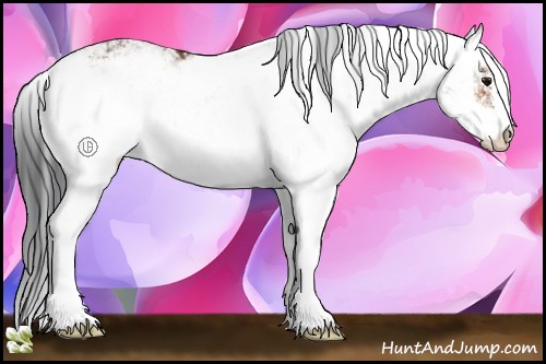 Horse Color:Bay Sabino 