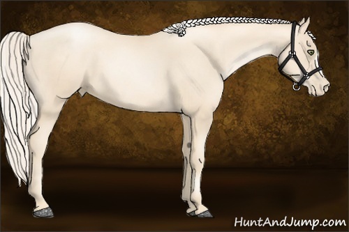 Horse Color:Gold Cream Champagne Pearl 