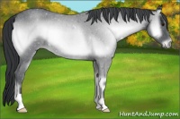 Horse Color:Blue Onyx Chinchilla Roan Rabicano 