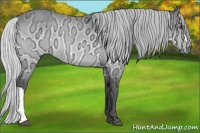 Horse Color:Silver Bay Chinchilla Ice 