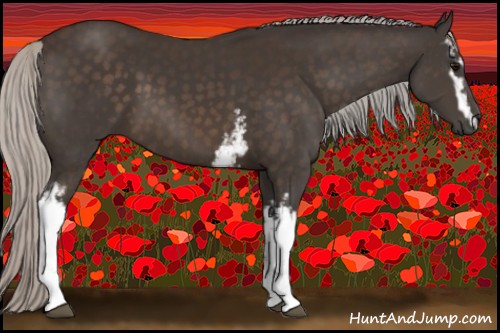Horse Color:White Spotted Silver Brown 