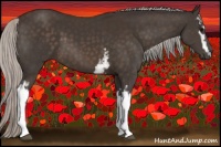 Horse Color:White Spotted Silver Brown 