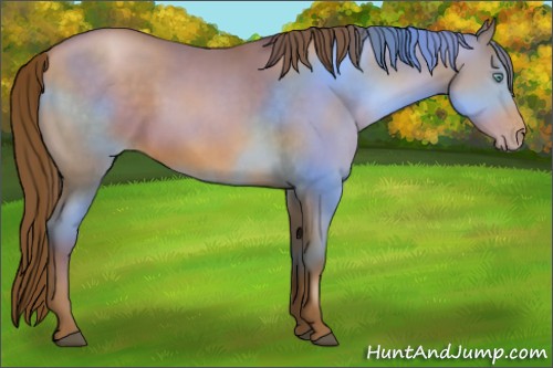 Horse Color:Brown Pearl 