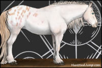 Horse Color:Chocolate Brown Pearl Varnish Rabicano 