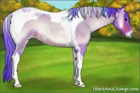 Horse Color:Painted Watercolor Bay Roan Onyx Tobiano 