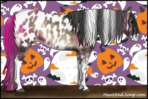 Horse Color:Plaid  Blue Onyx Tobiano Appaloosa 