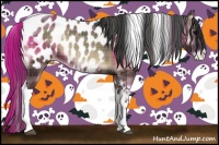 Horse Color:Plaid  Blue Onyx Tobiano Blanket 