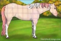 Horse Color:Watercolor Plaid  Red Dun Tobiano 