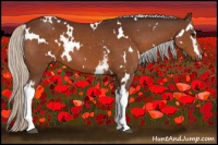 Horse Color:White Spotted Silver Brown