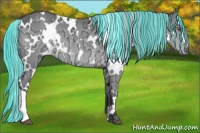 Horse Color:Painted White Spotted Silver Grullo Chinchilla Ice