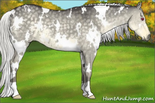 Horse Color:White Spotted Silver Smoky Grullo Chinchilla