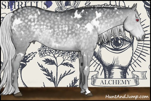 Horse Color:White Spotted Silver Grullo Chinchilla 