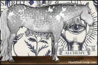 Horse Color:White Spotted Silver Grullo Chinchilla