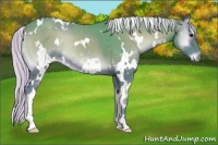 Horse Color:Watercolor White Spotted Silver Blue Onyx 