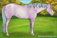 Horse Color:Painted Watercolor Chocolate Palomino Roan Pearl