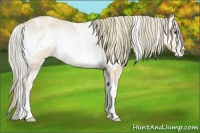 Horse Color:Watercolor White Spotted Liver Red Onyx Chinchilla Varnish Rabicano