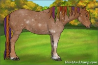 Horse Color:Painted Chestnut 