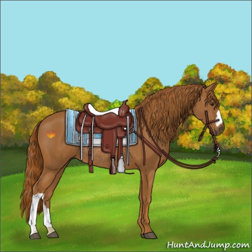 Horse Color:Chestnut Rabicano 