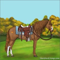 Horse Color:Chestnut Rabicano