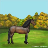 Horse Color:Brown 
