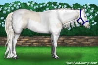 Horse Color:Smoky Creme Dun Splash Tobiano Rabicano