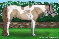 Horse Color:Black Pearl Tobiano 