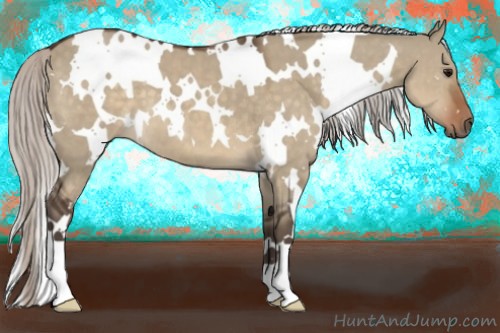 Horse Color:White Spotted Silver Brown Dun