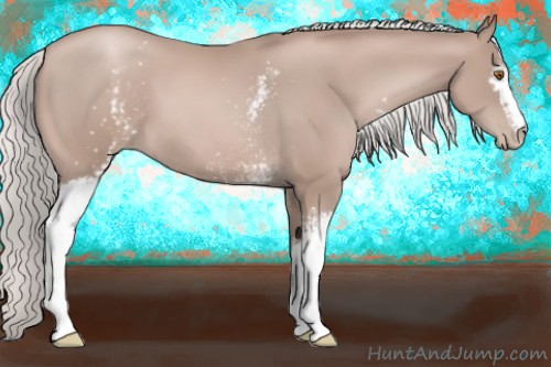 Horse Color:White Spotted Silver Black Pearl