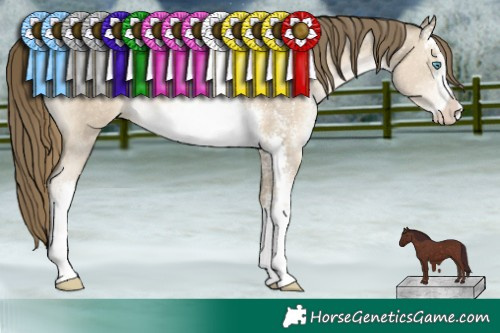 Horse Color:White Spotted Chocolate Smoky Black Pearl Sabino 