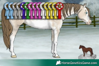 Horse Color:White Spotted Chocolate Smoky Black Pearl Sabino 