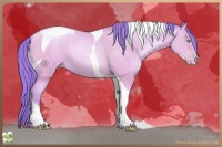 Horse Color:Watercolor Amber Champagne Pearl Tobiano Rabicano 