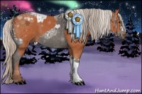 Horse Color:Silver Black Ice and Silver Bay
