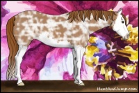 Horse Color:Chestnut Ice Splash 