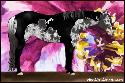 Horse Color:Liver Chestnut Ice Tobiano 