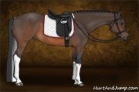Horse Color:Brown Tobiano Rabicano 