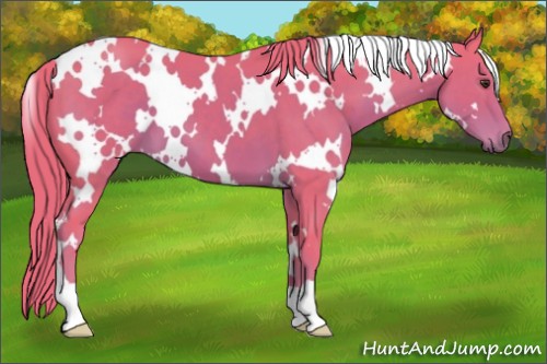 Horse Color:Watercolor White Spotted Liver Chestnut 