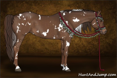 Horse Color:White Spotted Liver Chestnut 