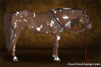 Horse Color:White Spotted Liver Chestnut 
