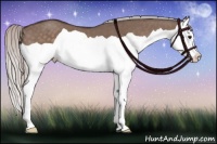 Horse Color:Silver Brown Dun Splash 