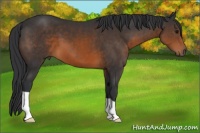 Horse Color:Brown 