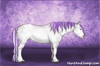 Horse Color:Painted White Spotted Silver Brown Chinchilla Ice Dun Splash 