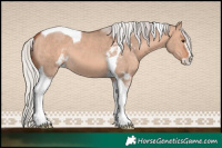 Horse Color:Silver Bay Dun Mushroom Sabino Tobiano 