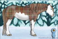 Horse Color:Plaid Liver Chestnut Sabino Splash