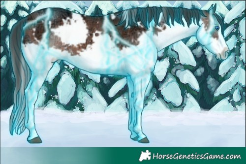 Horse Color:Thunderstruck White Spotted Brown Ice Splash Frame