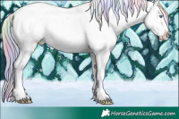 Horse Color:Nacre Chocolate Palomino Pearl Sabino Splash Appaloosa 