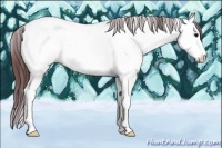 Horse Color:Chocolate Brown Splash Tobiano Near Fewspot Rabicano