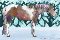 Horse Color:Nacre Brown Sabino Splash Tobiano 