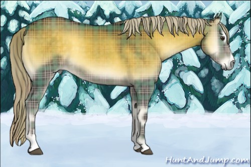Horse Color:Plaid Chocolate Palomino Onyx Sabino