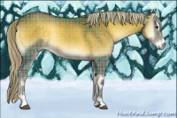 Horse Color:Plaid Chocolate Palomino Onyx Sabino